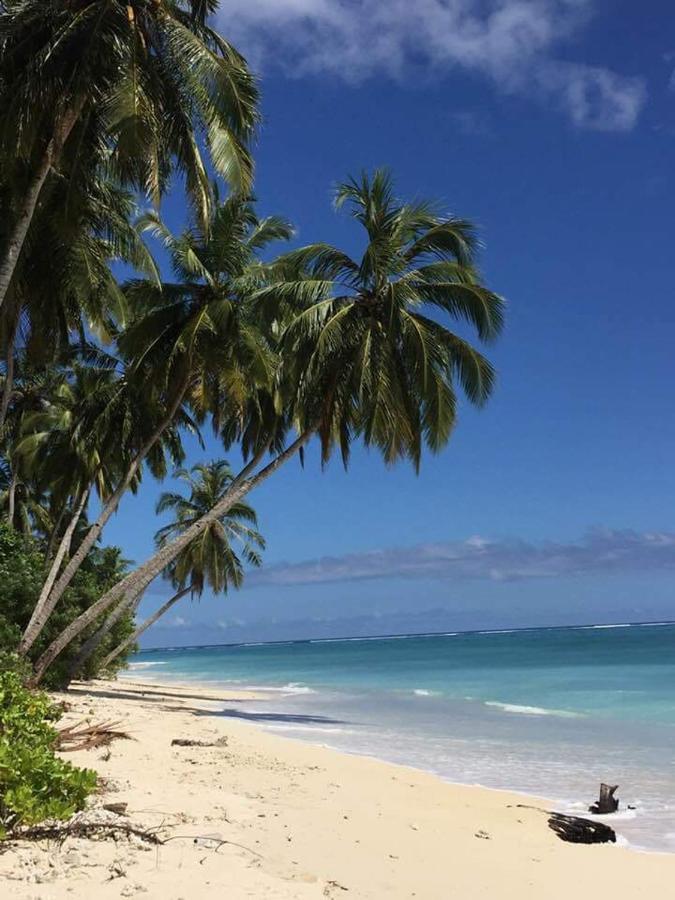 Arthur Homestay Telescope Mentawai Tua Pejat Eksteriør bilde